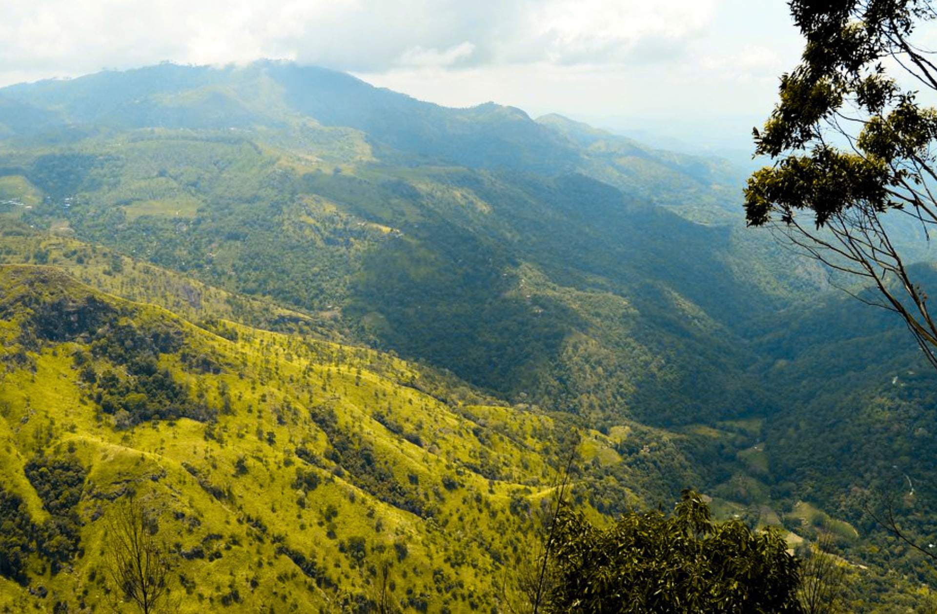 A sweeping panoramic view from the summit of Ella Rock in Sri Lanka, showcasing the dramatic topography, deep valleys and rolling green tea estates of the central highlands