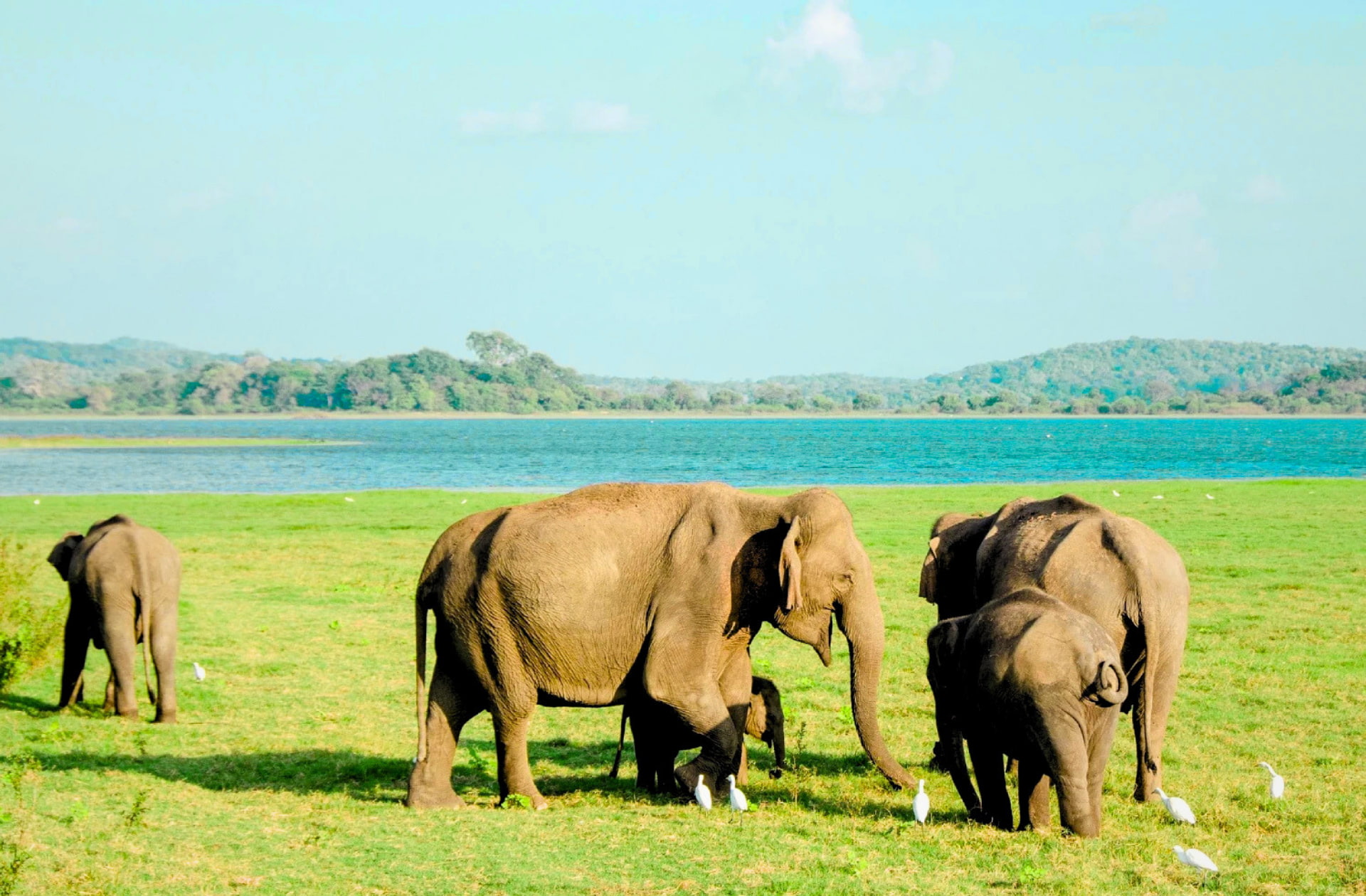 Habarana, Sri Lanka