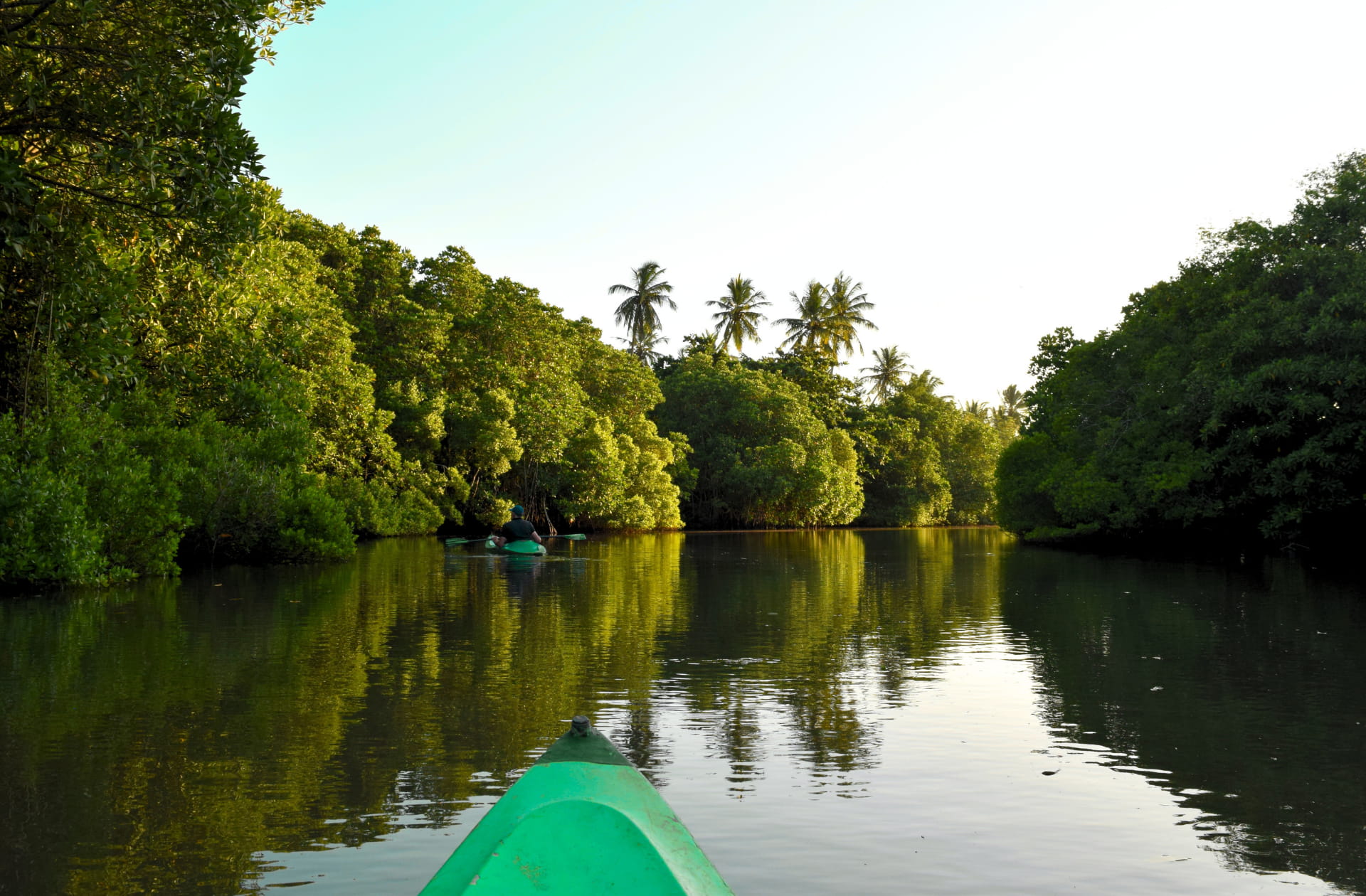 A view from a green kayak navigating the still, mangrove-fringed waters of Rekawa Lagoon in Tangalle, Sri Lanka